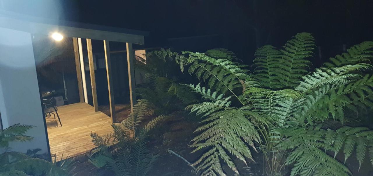 เครเดิล อัลไพน์ รีทรีต Bed & Breakfast Moina ภายนอก รูปภาพ